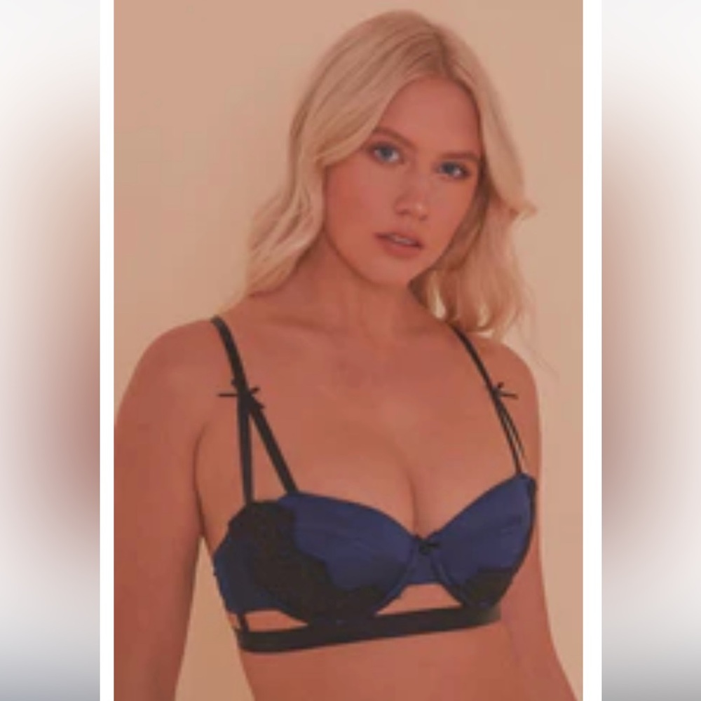 Playful Promises Tabitha Blue Embroidery Bra Core